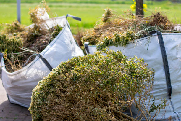 Best Full-Service Junk Removal  in Tubac, AZ